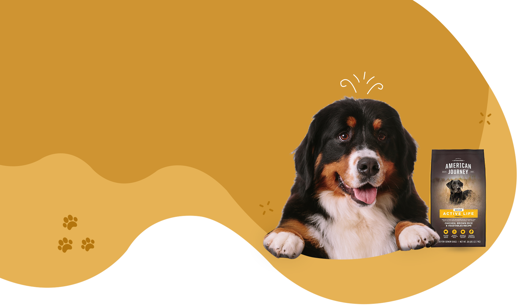Únete a la comunidad de MyPets